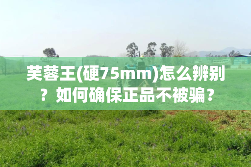 芙蓉王(硬75mm)怎么辨别？如何确保正品不被骗？